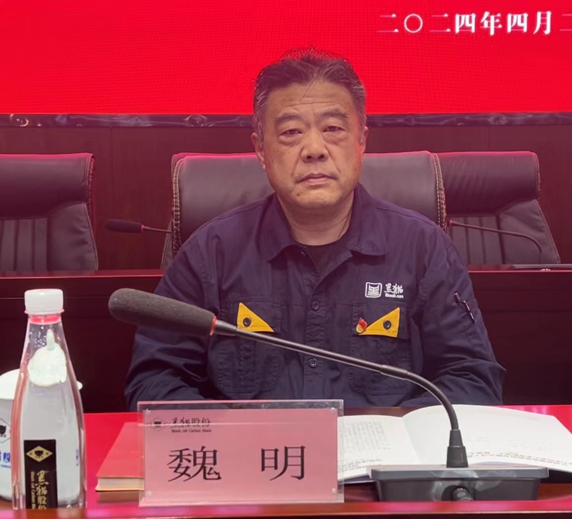 4 黑貓股份黨委副書記、董事長(zhǎng)魏明出席會(huì)議.jpg